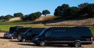 Winery tour shuttle bus , Van & Limo transportation in West VA & Maryland 